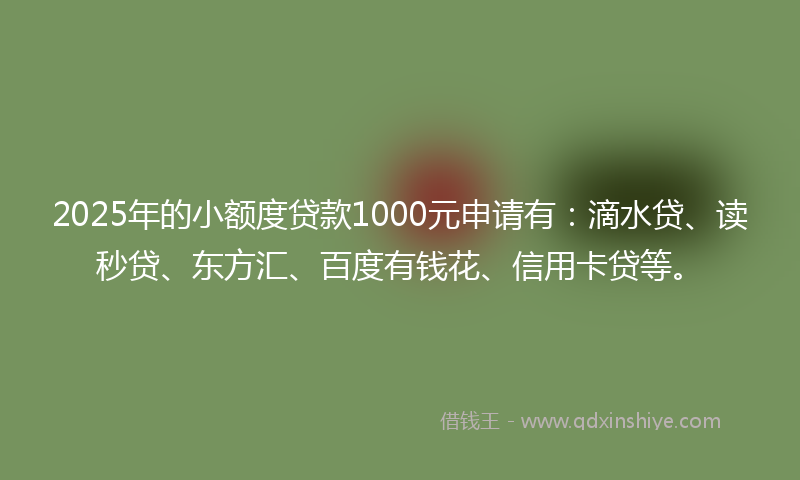 2025年的小额度贷款1000元申请有：滴水贷、读秒贷、东方汇、百度有钱花、信用卡贷等。