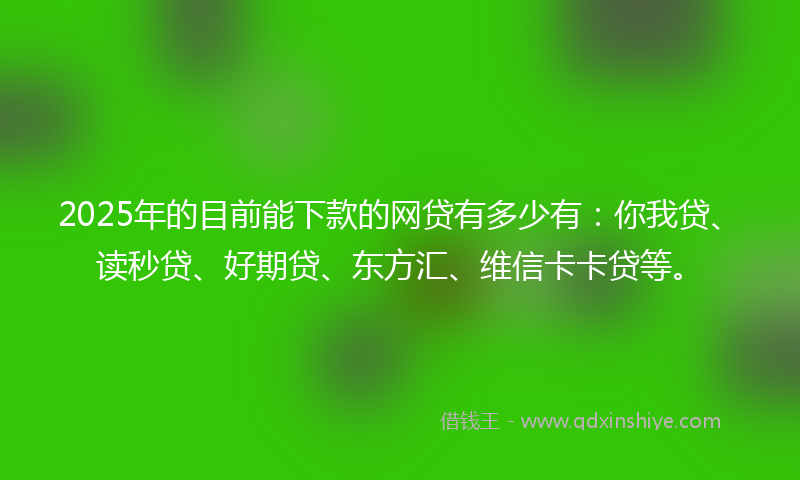2025年的目前能下款的网贷有多少有：你我贷、读秒贷、好期贷、东方汇、维信卡卡贷等。