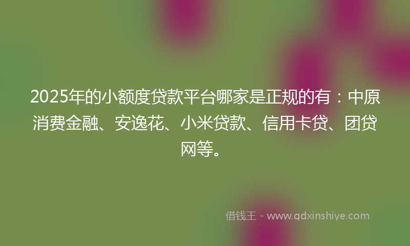 2025年的小额度贷款平台哪家是正规的有：中原消费金融、安逸花、小米贷款、信用卡贷、团贷网等。