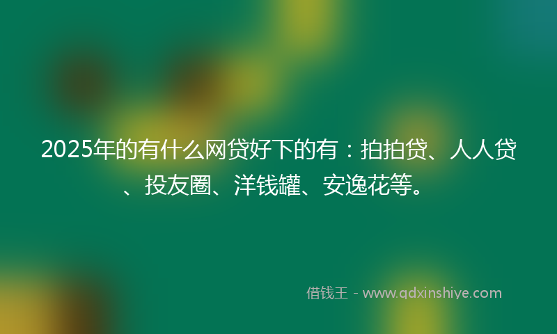 2025年的有什么网贷好下的有：拍拍贷、人人贷、投友圈、洋钱罐、安逸花等。