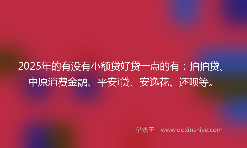 2025年的有没有小额贷好贷一点的有：拍拍贷、中原消费金融、平安i贷、安逸花、还呗等。