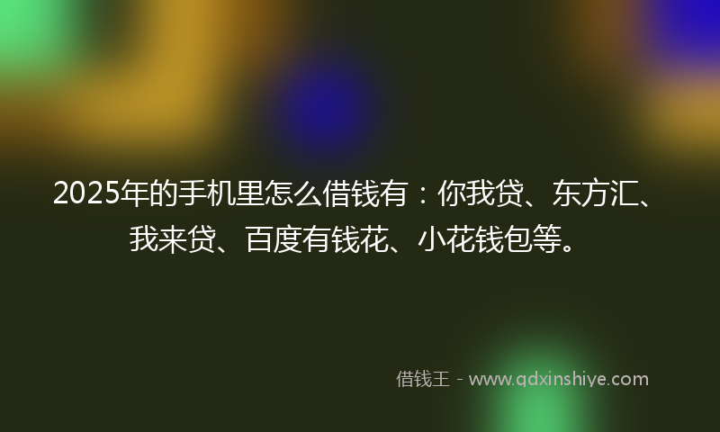 2025年的手机里怎么借钱有：你我贷、东方汇、我来贷、百度有钱花、小花钱包等。