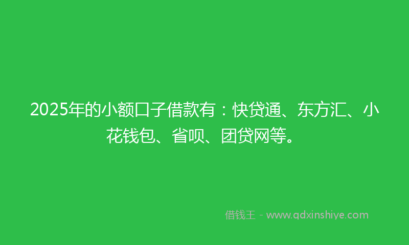 2025年的小额口子借款有：快贷通、东方汇、小花钱包、省呗、团贷网等。