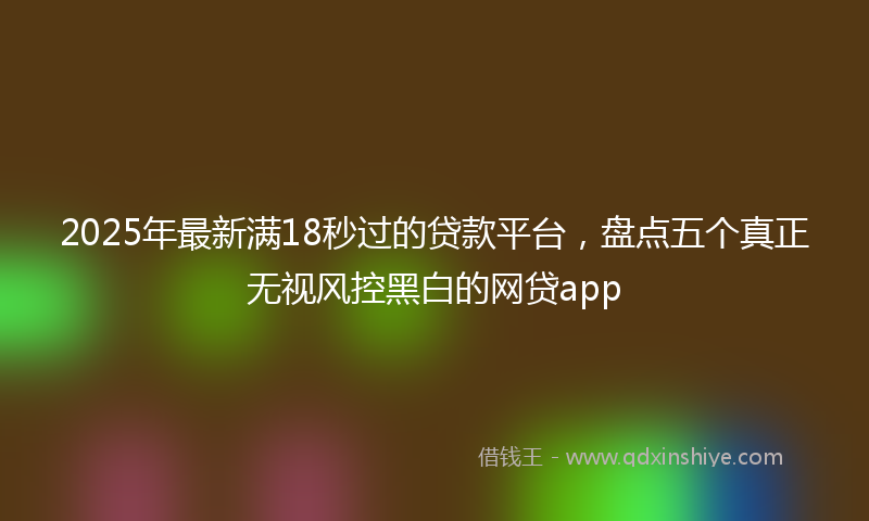 2025年最新满18秒过的贷款平台，盘点五个真正无视风控黑白的网贷app