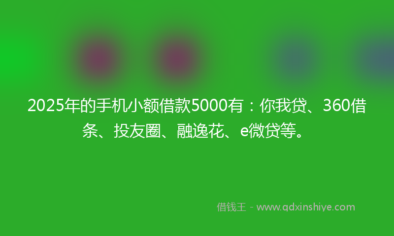 2025年的手机小额借款5000有：你我贷、360借条、投友圈、融逸花、e微贷等。