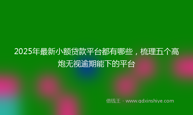 2025年最新小额贷款平台都有哪些，梳理五个高炮无视逾期能下的平台