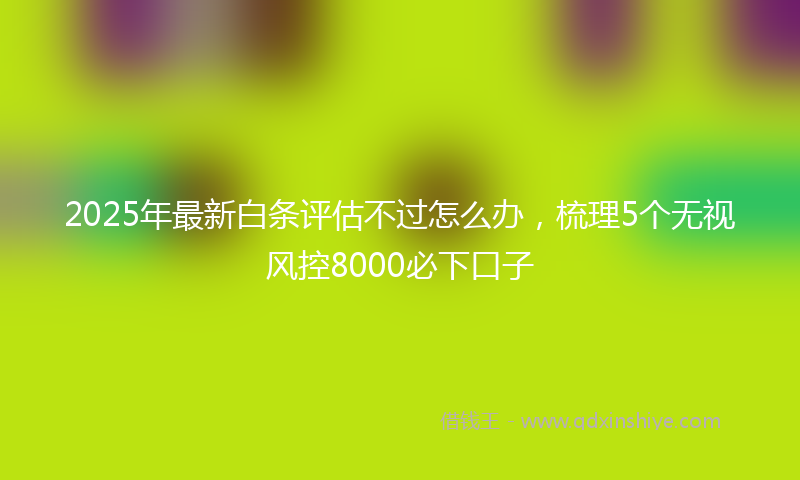 2025年最新白条评估不过怎么办，梳理5个无视风控8000必下口子
