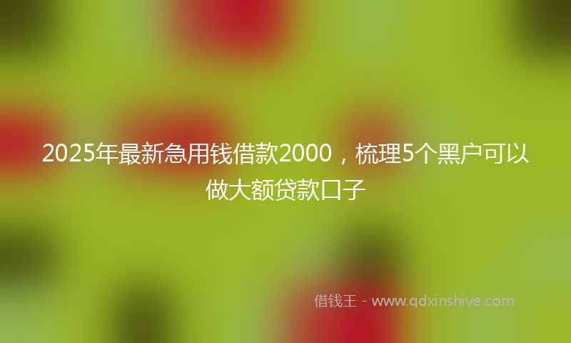 2025年最新急用钱借款2000，梳理5个黑户可以做大额贷款口子