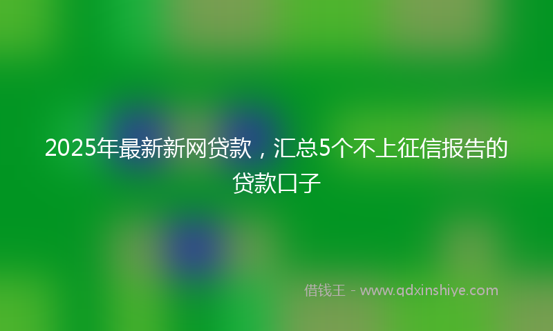 2025年最新新网贷款，汇总5个不上征信报告的贷款口子