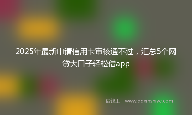 2025年最新申请信用卡审核通不过，汇总5个网贷大口子轻松借app