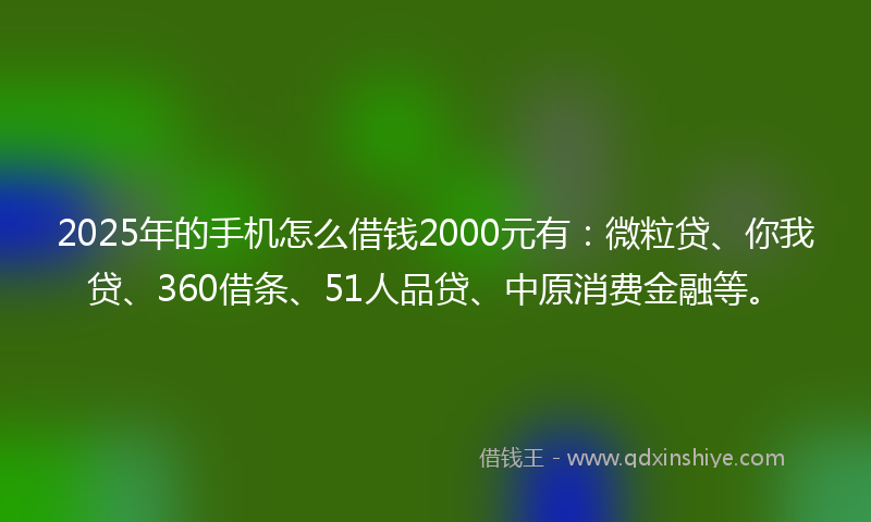 2025年的手机怎么借钱2000元有：微粒贷、你我贷、360借条、51人品贷、中原消费金融等。