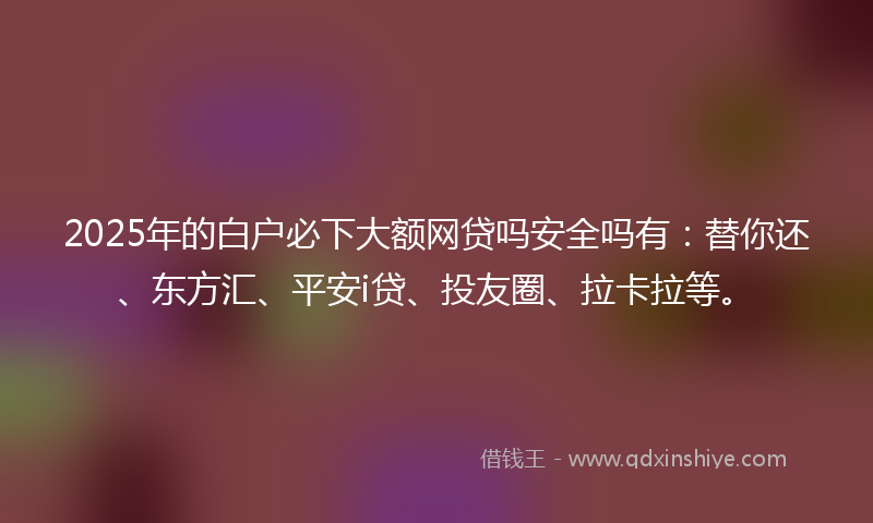 2025年的白户必下大额网贷吗安全吗有：替你还、东方汇、平安i贷、投友圈、拉卡拉等。