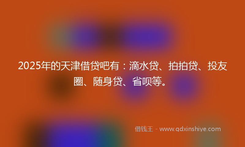 2025年的天津借贷吧有：滴水贷、拍拍贷、投友圈、随身贷、省呗等。