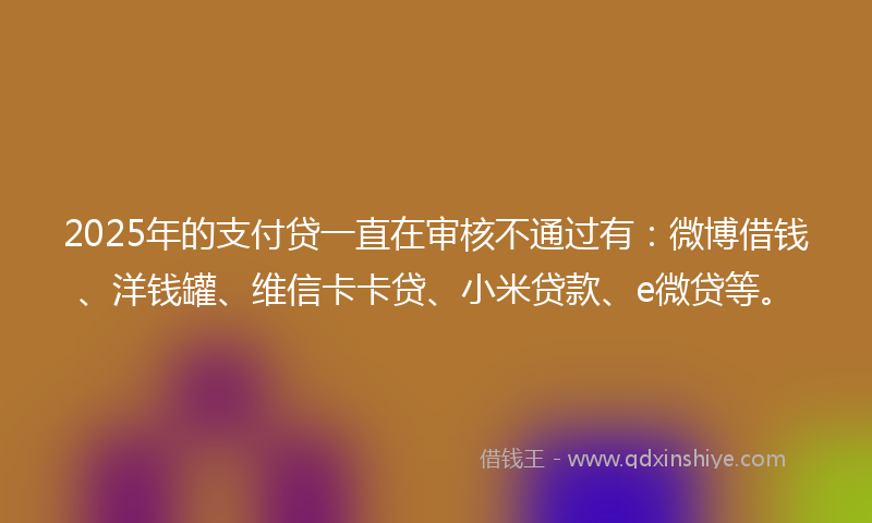 2025年的支付贷一直在审核不通过有：微博借钱、洋钱罐、维信卡卡贷、小米贷款、e微贷等。