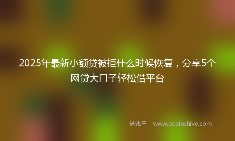 2025年最新小额贷被拒什么时候恢复，分享5个网贷大口子轻松借平台