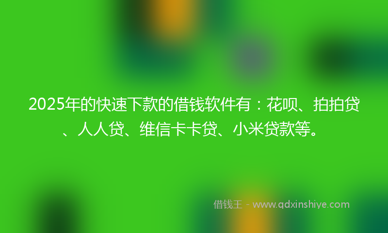 2025年的快速下款的借钱软件有：花呗、拍拍贷、人人贷、维信卡卡贷、小米贷款等。