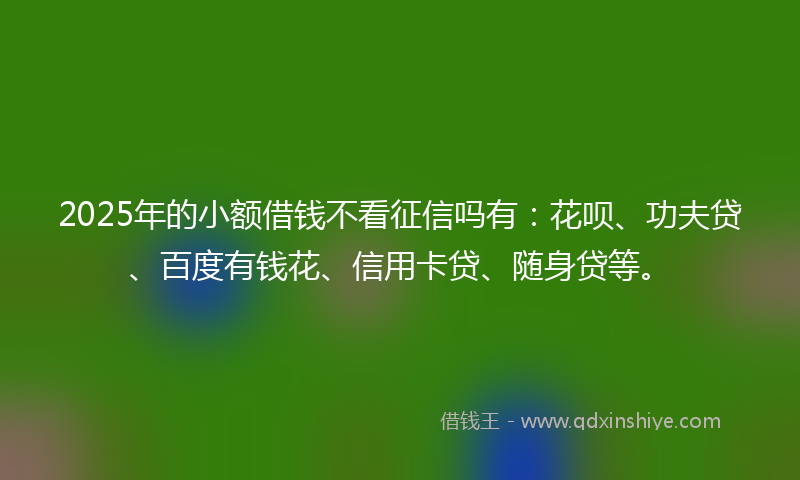 2025年的小额借钱不看征信吗有：花呗、功夫贷、百度有钱花、信用卡贷、随身贷等。