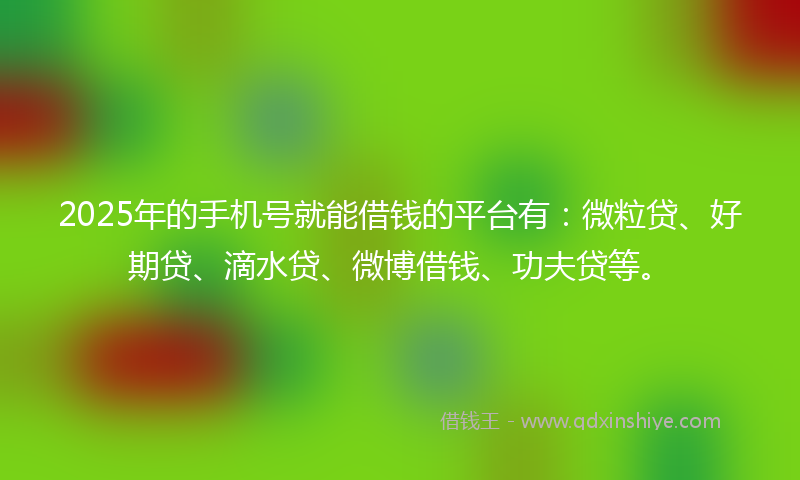 2025年的手机号就能借钱的平台有：微粒贷、好期贷、滴水贷、微博借钱、功夫贷等。