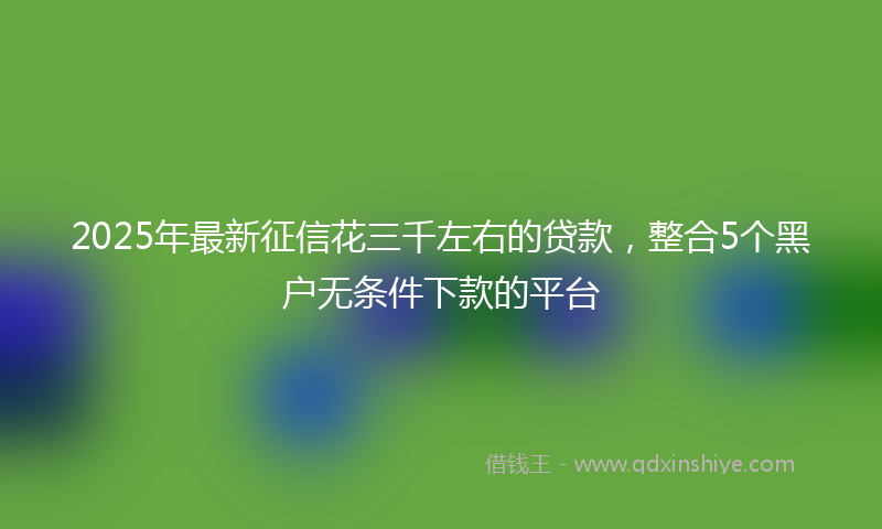 2025年最新征信花三千左右的贷款，整合5个黑户无条件下款的平台