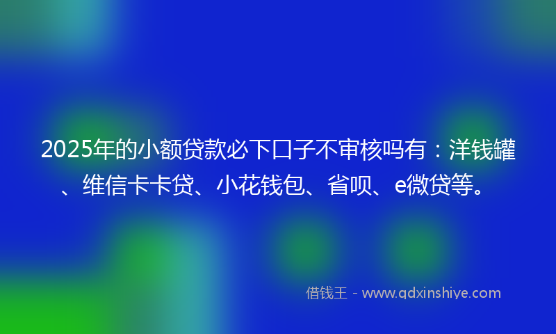2025年的小额贷款必下口子不审核吗有：洋钱罐、维信卡卡贷、小花钱包、省呗、e微贷等。