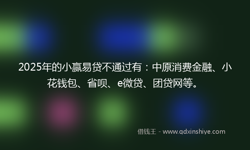 2025年的小赢易贷不通过有：中原消费金融、小花钱包、省呗、e微贷、团贷网等。