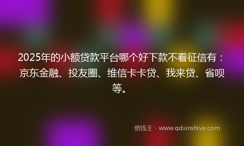 2025年的小额贷款平台哪个好下款不看征信有：京东金融、投友圈、维信卡卡贷、我来贷、省呗等。
