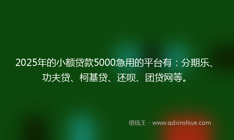 2025年的小额贷款5000急用的平台有：分期乐、功夫贷、柯基贷、还呗、团贷网等。