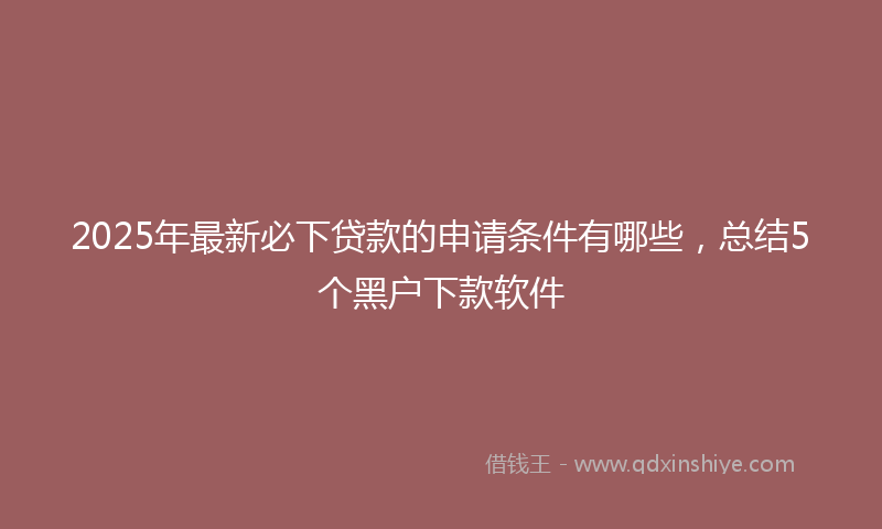 2025年最新必下贷款的申请条件有哪些，总结5个黑户下款软件