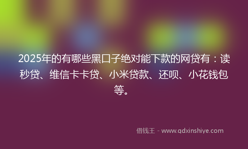 2025年的有哪些黑口子绝对能下款的网贷有：读秒贷、维信卡卡贷、小米贷款、还呗、小花钱包等。