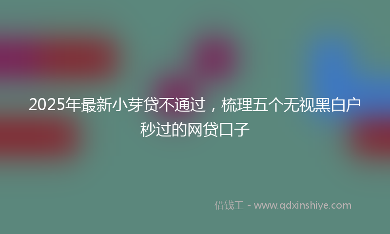 2025年最新小芽贷不通过，梳理五个无视黑白户秒过的网贷口子