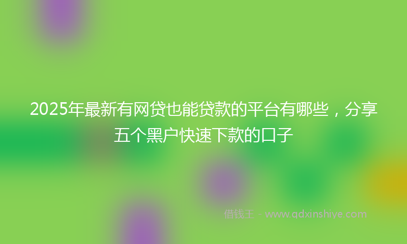 2025年最新有网贷也能贷款的平台有哪些，分享五个黑户快速下款的口子