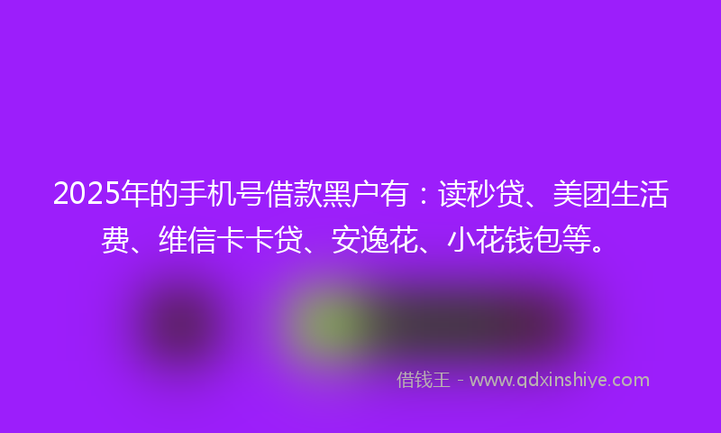 2025年的手机号借款黑户有：读秒贷、美团生活费、维信卡卡贷、安逸花、小花钱包等。