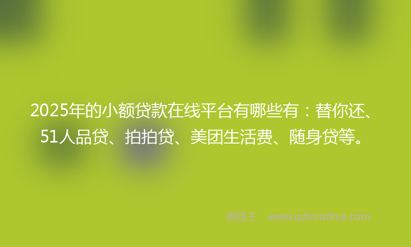 2025年的小额贷款在线平台有哪些有：替你还、51人品贷、拍拍贷、美团生活费、随身贷等。