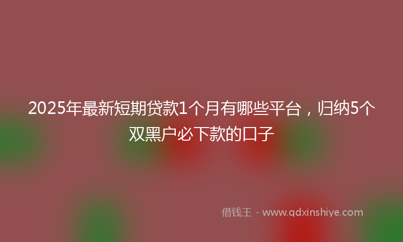 2025年最新短期贷款1个月有哪些平台，归纳5个双黑户必下款的口子