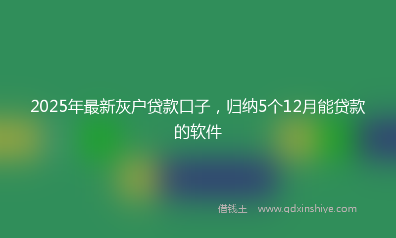 2025年最新灰户贷款口子，归纳5个12月能贷款的软件