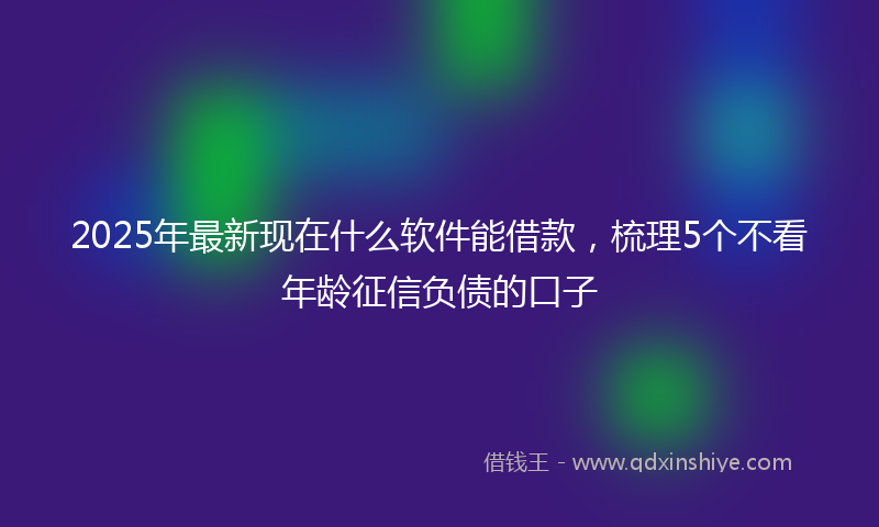 2025年最新现在什么软件能借款，梳理5个不看年龄征信负债的口子