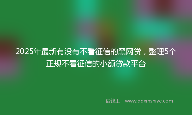 2025年最新有没有不看征信的黑网贷，整理5个正规不看征信的小额贷款平台