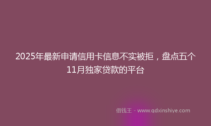 2025年最新申请信用卡信息不实被拒，盘点五个11月独家贷款的平台