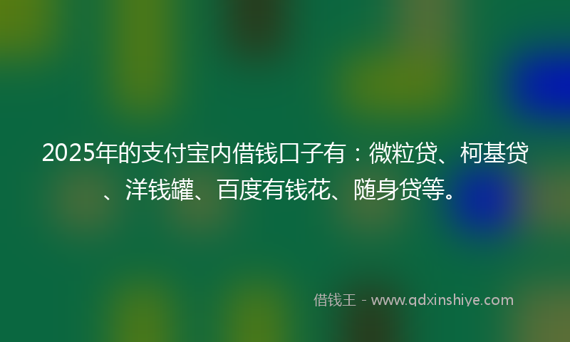 2025年的支付宝内借钱口子有：微粒贷、柯基贷、洋钱罐、百度有钱花、随身贷等。