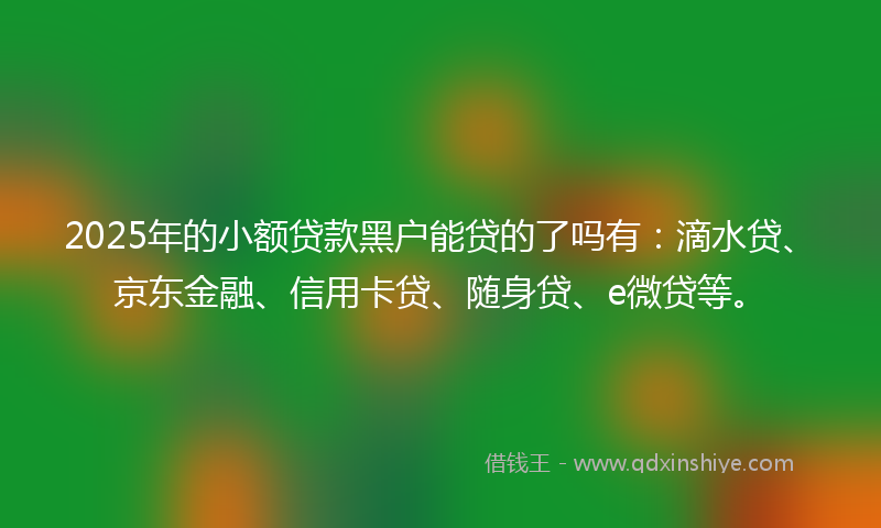 2025年的小额贷款黑户能贷的了吗有：滴水贷、京东金融、信用卡贷、随身贷、e微贷等。