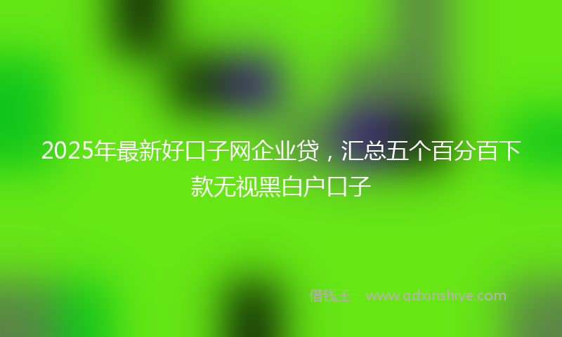 2025年最新好口子网企业贷，汇总五个百分百下款无视黑白户口子