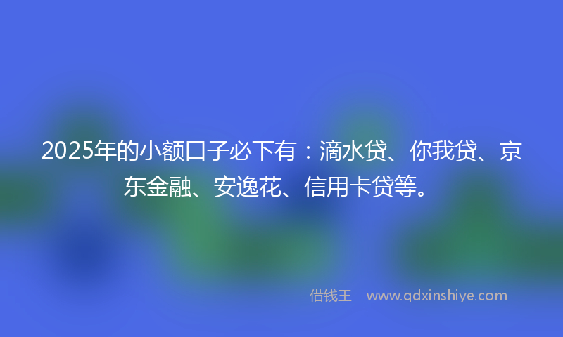 2025年的小额口子必下有：滴水贷、你我贷、京东金融、安逸花、信用卡贷等。