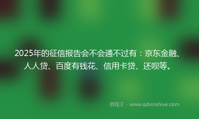 2025年的征信报告会不会通不过有：京东金融、人人贷、百度有钱花、信用卡贷、还呗等。
