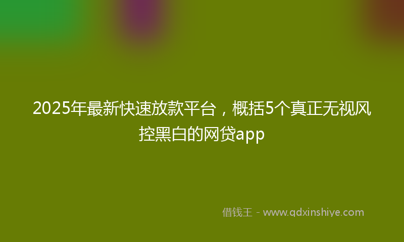2025年最新快速放款平台，概括5个真正无视风控黑白的网贷app
