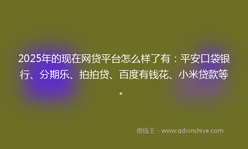 2025年的现在网贷平台怎么样了有：平安口袋银行、分期乐、拍拍贷、百度有钱花、小米贷款等。