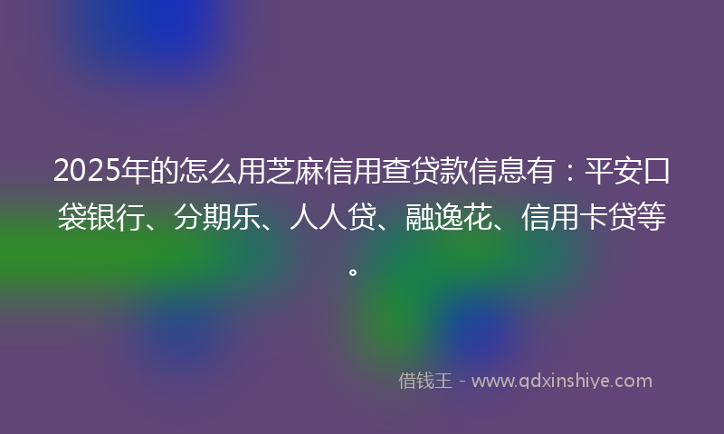 2025年的怎么用芝麻信用查贷款信息有：平安口袋银行、分期乐、人人贷、融逸花、信用卡贷等。