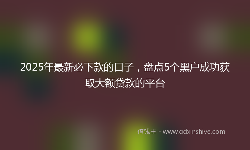 2025年最新必下款的口子，盘点5个黑户成功获取大额贷款的平台