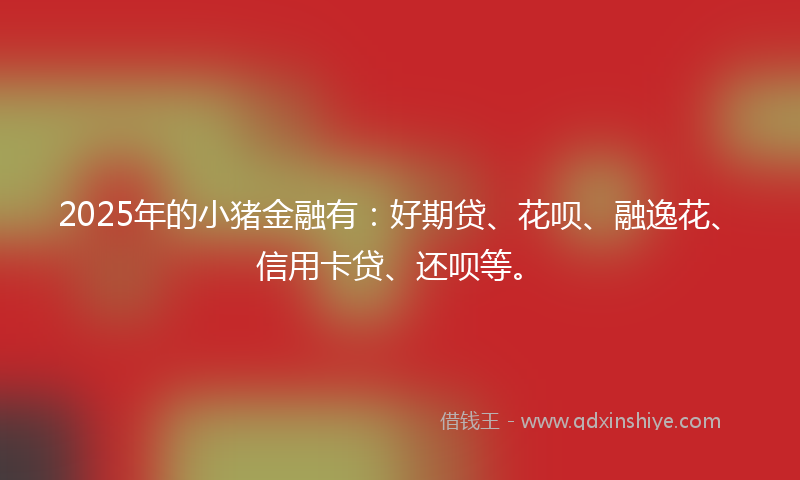 2025年的小猪金融有：好期贷、花呗、融逸花、信用卡贷、还呗等。