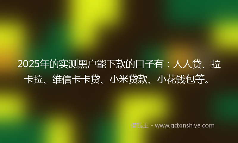 2025年的实测黑户能下款的口子有：人人贷、拉卡拉、维信卡卡贷、小米贷款、小花钱包等。