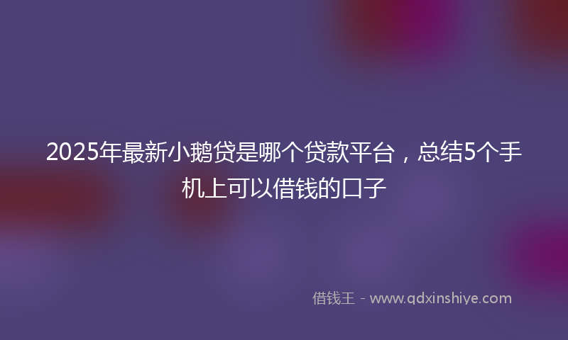2025年最新小鹅贷是哪个贷款平台，总结5个手机上可以借钱的口子